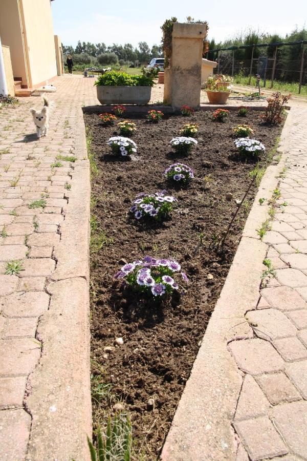 Villa Cabirol Fertilia Εξωτερικό φωτογραφία