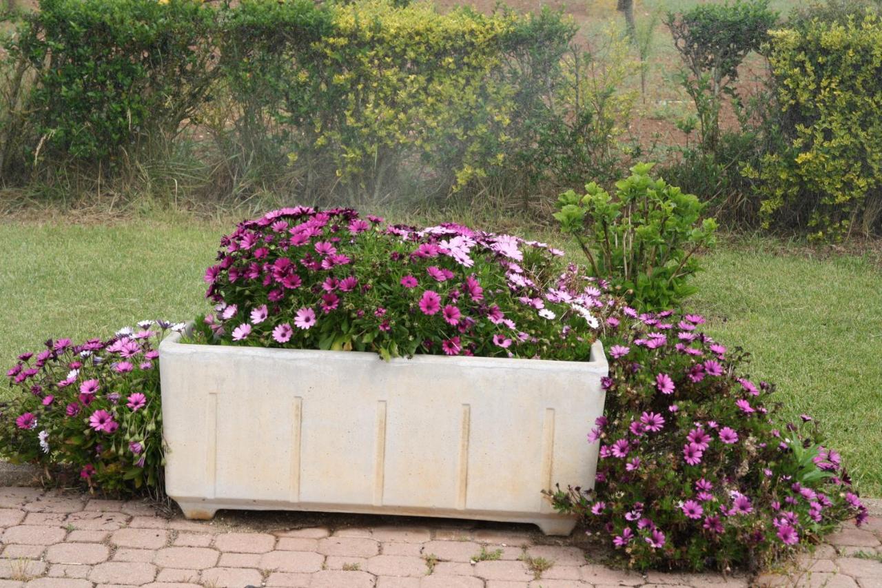 Villa Cabirol Fertilia Εξωτερικό φωτογραφία
